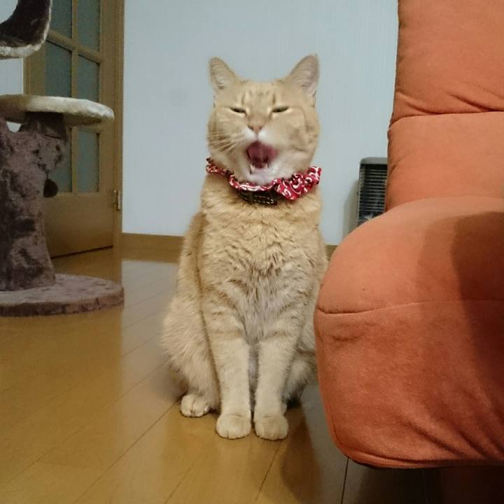 0bd23608 ad92 4cf7 a97e 7749783d3ee1