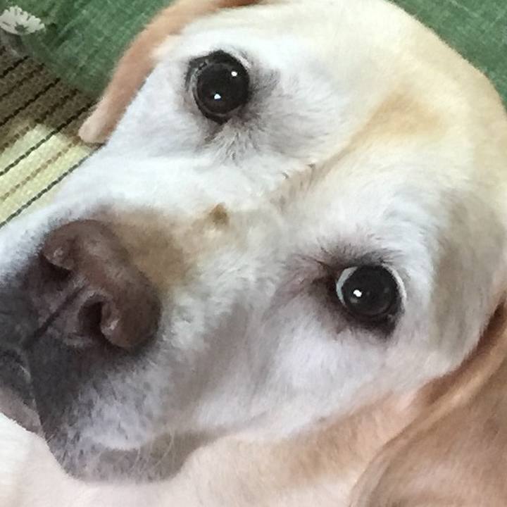 0bd2ac0d 64d1 412a b47c cf9993330f26