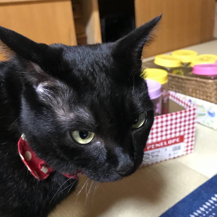 0bd2da0d d5d1 47b2 943e 6668ce820ac0