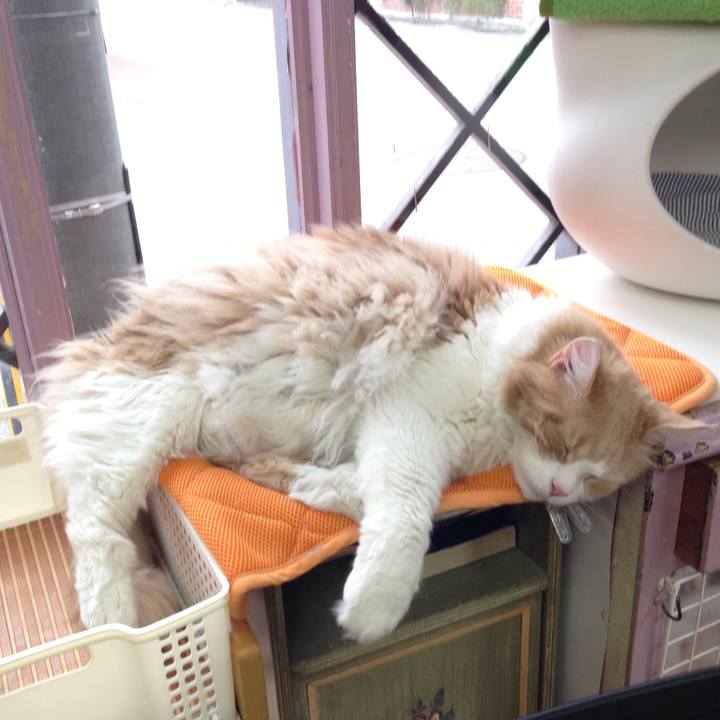 0bd32ad4 30ac 45d5 8e6e f2528f54b52f