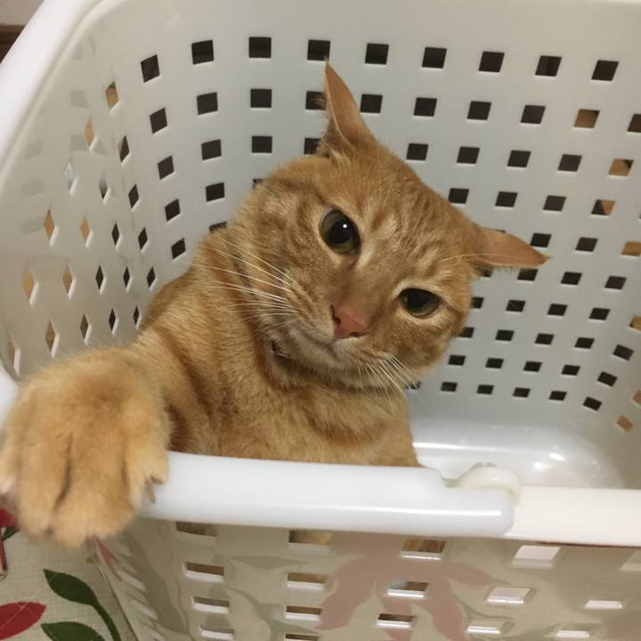 0bd37f70 ca2d 4165 8db3 99000f735b62