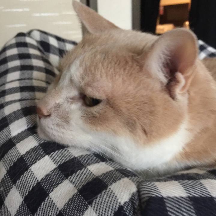 0bd39dbb 6b68 4218 94f3 6f59cfdfce1d