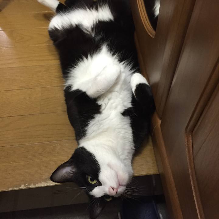 0bd4931f f96c 45c5 bb6f 325ef6669445