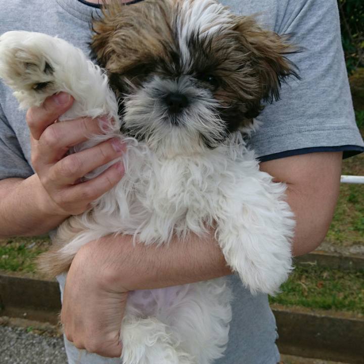 0bd4ca2f a0a6 4095 b92b 47c93f7db1a4