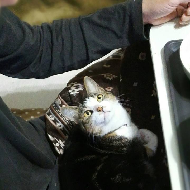 0bd5f624 076b 4200 b0a5 eedb7cff65ee