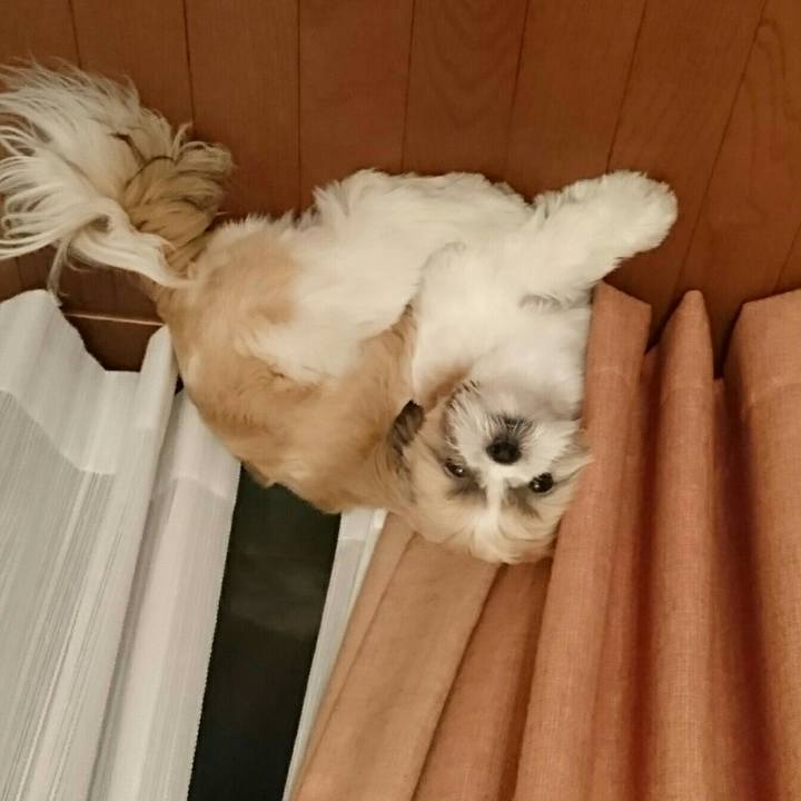 0bd61870 de10 4bb7 924c efaac0c4580a