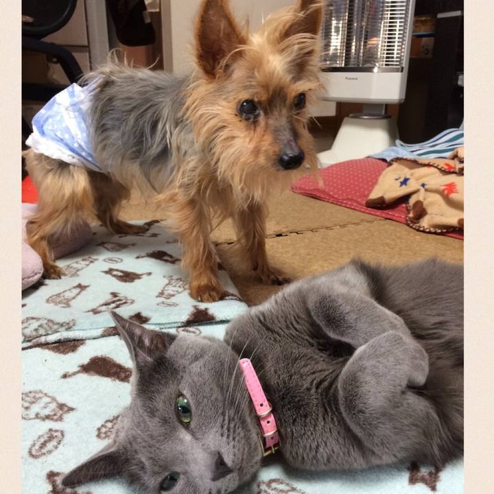 0bd728b3 26f4 4f64 9bed fdb3f62aa0cd