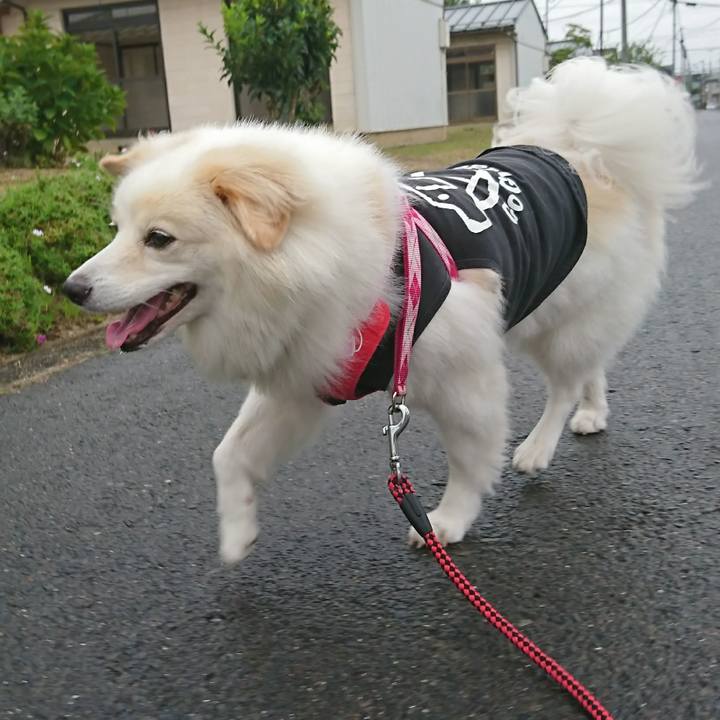 0bd75a1f f065 4f92 aa0c 142d1031a554