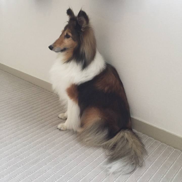 0bd767b2 8506 4208 9270 2676d1541e6c