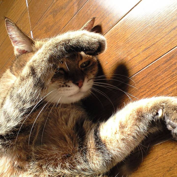 0bd7900d 56b8 460e 8c43 adad381f0d95