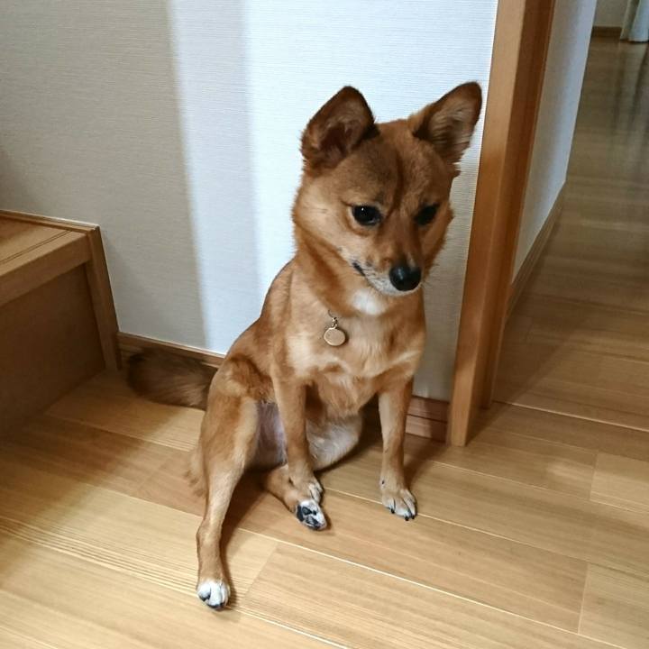 0bd7901a e496 4b6c 8615 3e3008c74fae