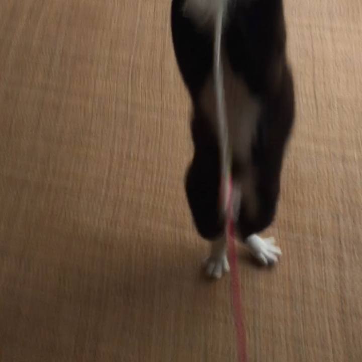 0bd7daed f549 4467 ad2d befe416bee53