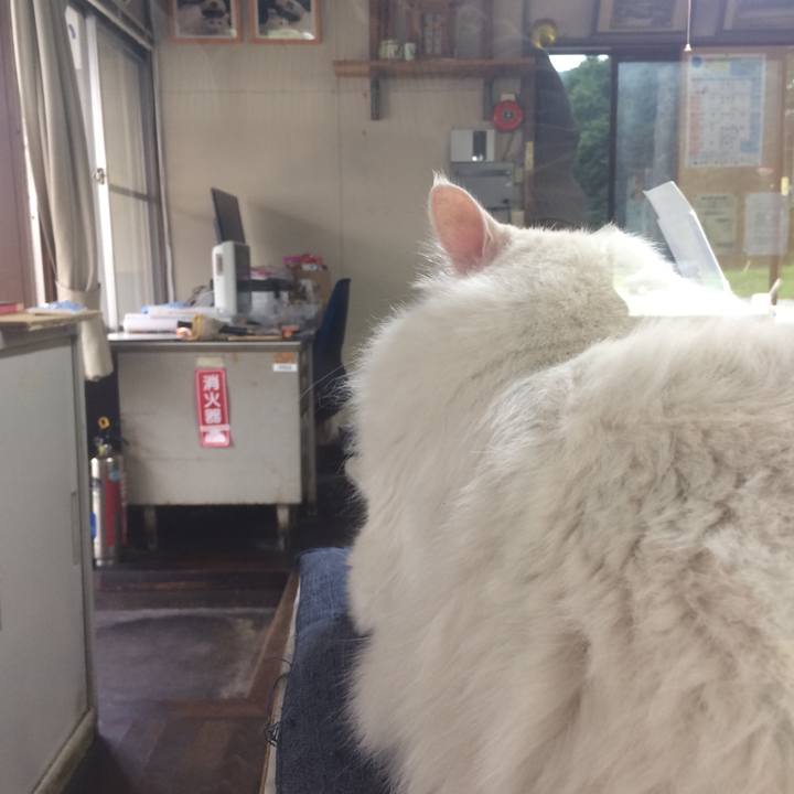 0bd819c8 ffec 4044 9724 994a143f6505