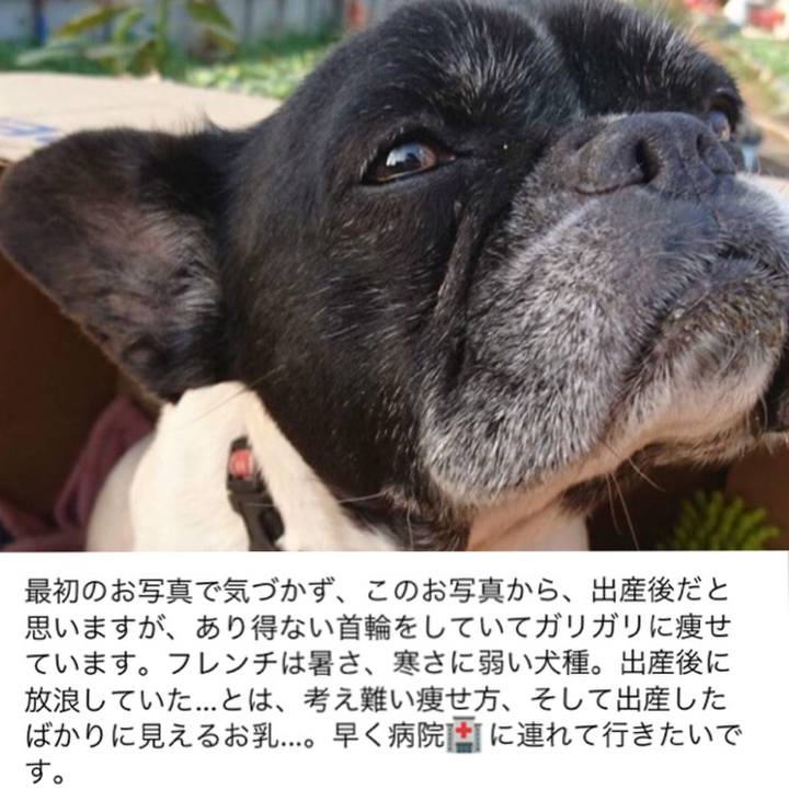 0bd822da 9d46 48fc 8b64 342eb76d5f09