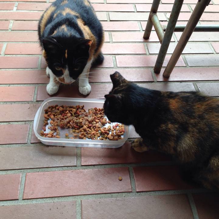 0bd88107 2258 4e38 a981 b101b169ad76