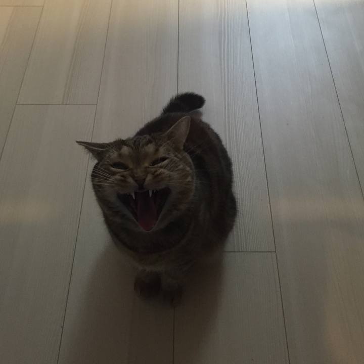 0bd8f58c 47bf 4baf a39b dc2c83d9cce6