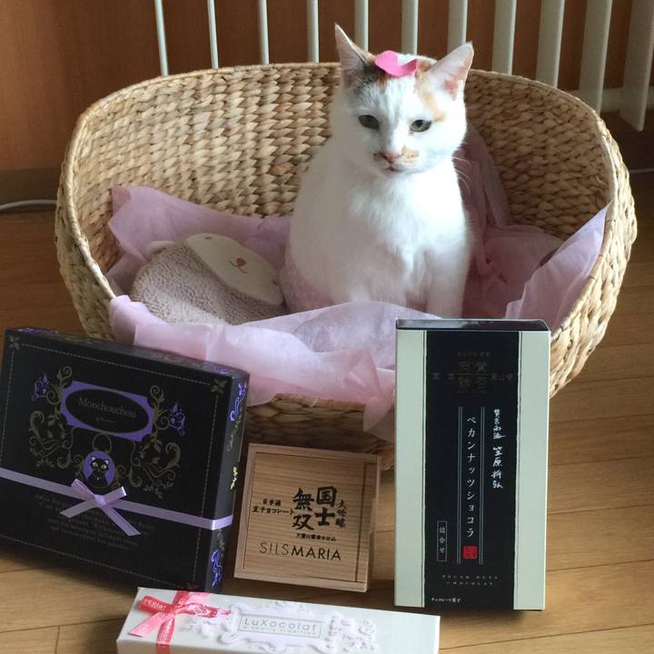 0bd95de4 995d 455b b492 70ffcc446033