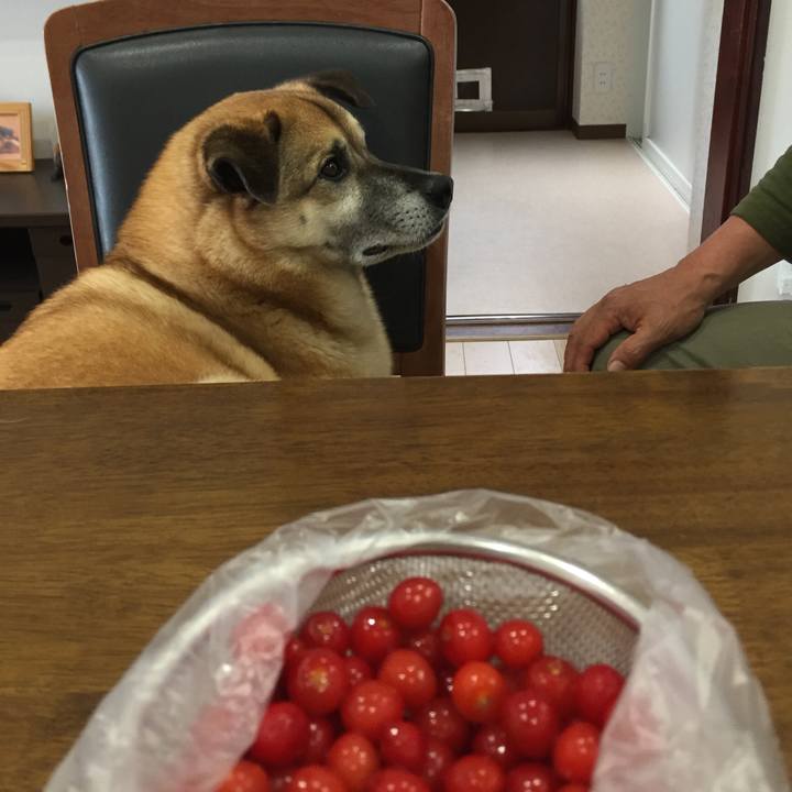 0bd98090 d0da 49aa ade1 60965de43ec0