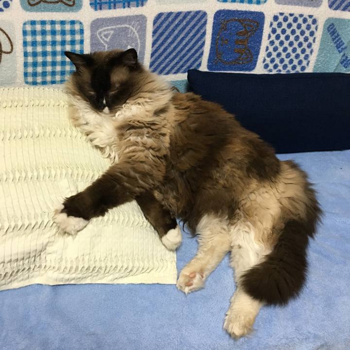 0bda0fdc a220 4a0f 91c2 3db620a0e872