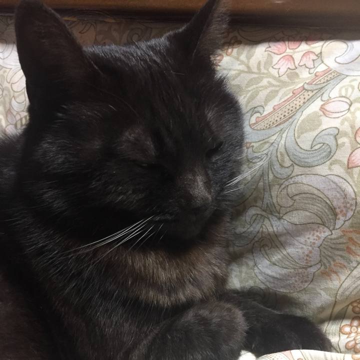 0bda6bcf 5df0 47c1 ad07 6075f8de0392