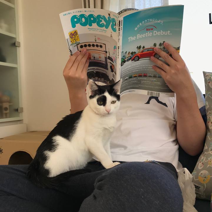 0bda7d4d a81d 40c3 8079 a648fea5dda4