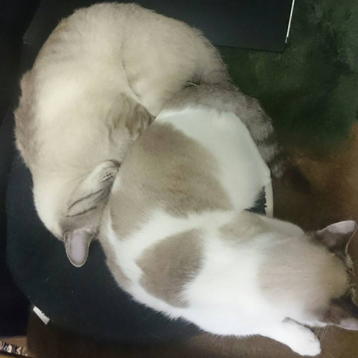 0bdb5e67 3895 4013 ae20 10aae30ba27a