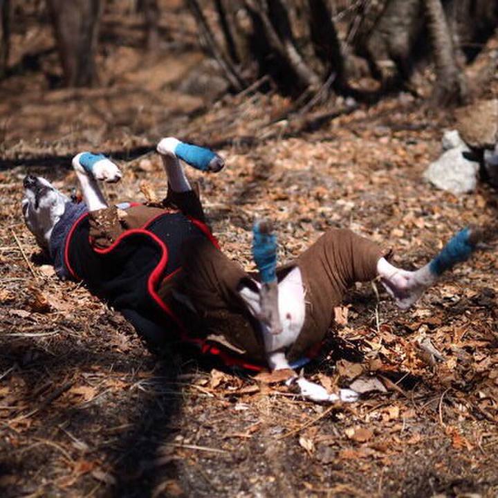 0bdbdb3f 3a68 4d20 9e09 b29013123a11