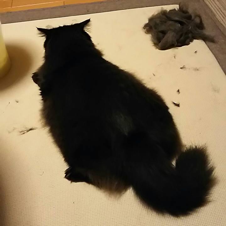 0bdbf5e3 aed5 4989 be20 cef486205af4