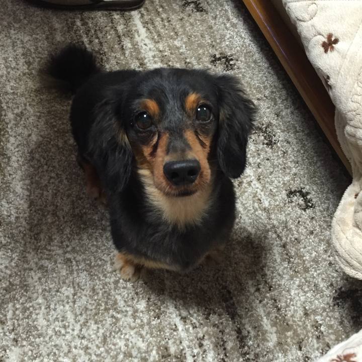 0bdc383c f7a8 447e ab9e 91df87fa140f