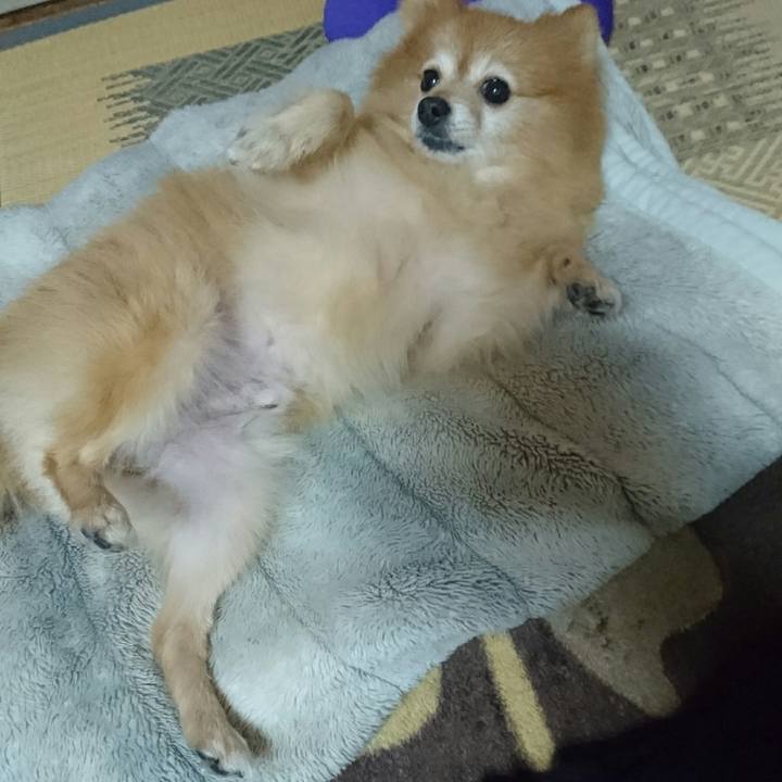 0bdc8354 47a0 4e0e b3d0 22e144fbbd7b