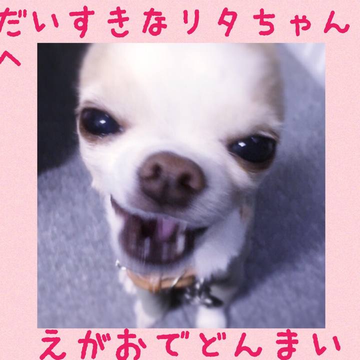 0bdcde72 6108 4034 ac71 4f9ea0f0eee0