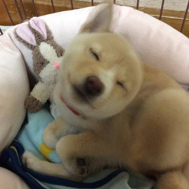 0bddb3ff f4e7 466d 9ff5 3316d4d437b3