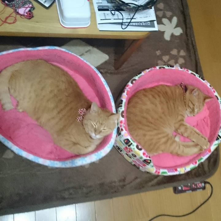 0bdea6b8 72e7 4d55 987e 809194cb8d46