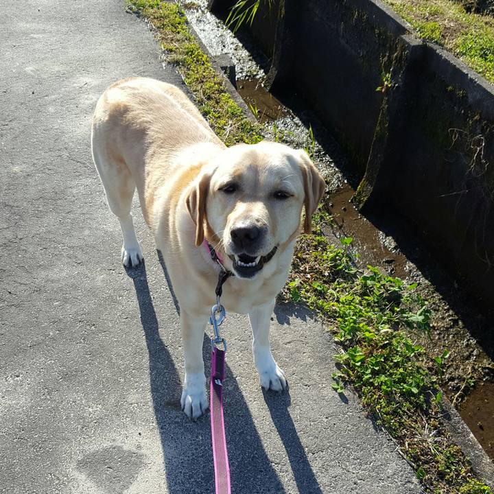 0bdf8127 16c1 4239 b4db 6e18ed65501d