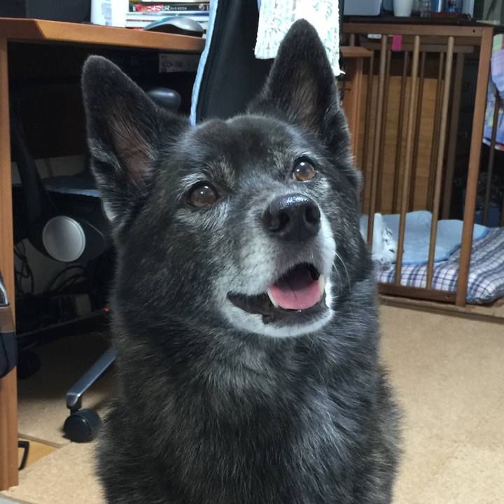 0bdfdd0d 170c 496e b520 4fa7c5ac1853