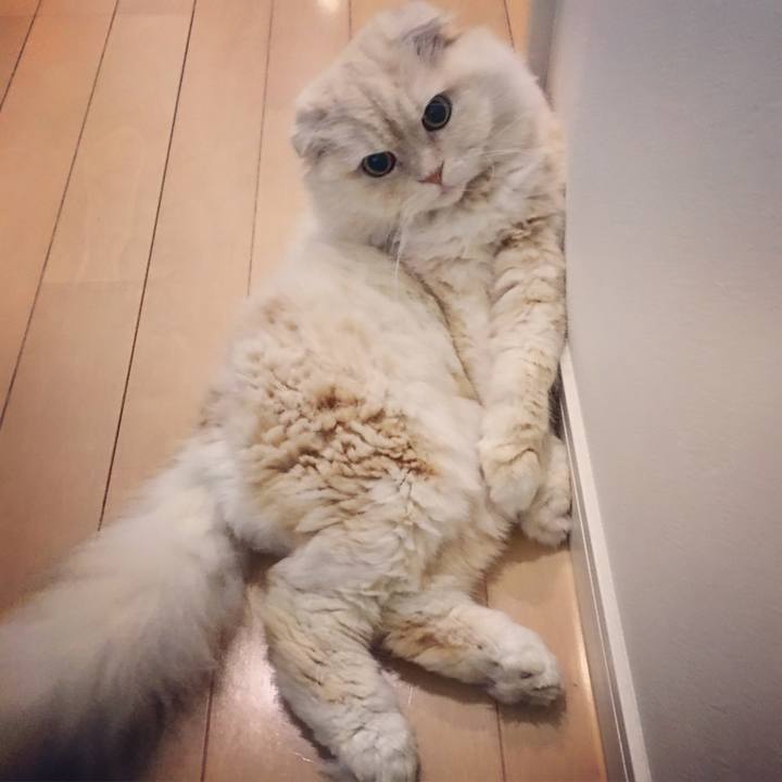 0be03e29 a343 46ee bbc9 0dc1cf52bd8c