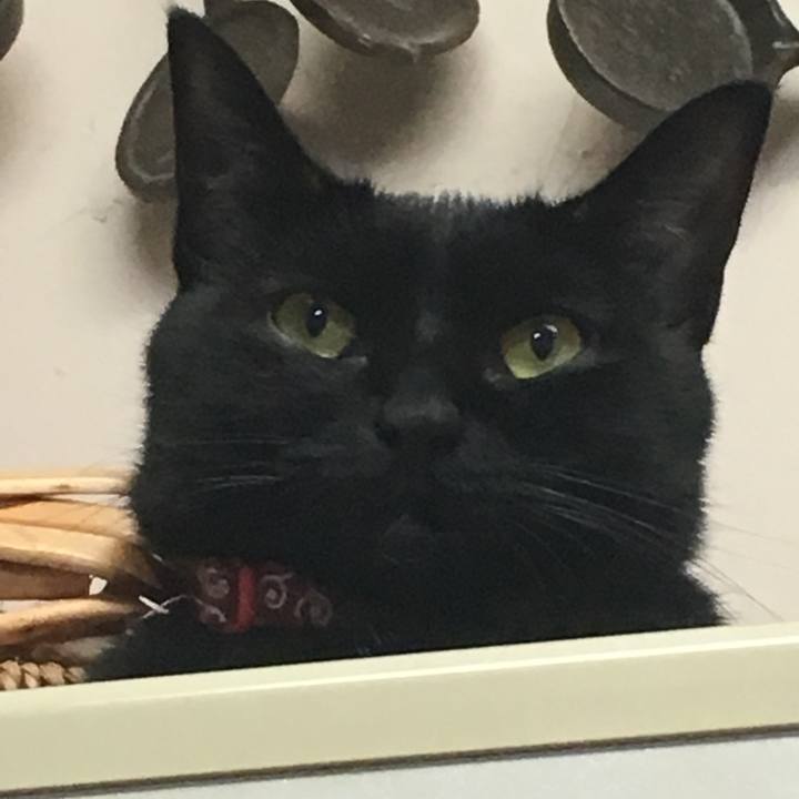 0be06838 89ec 4d7c a9ef 137dd3c30ad4