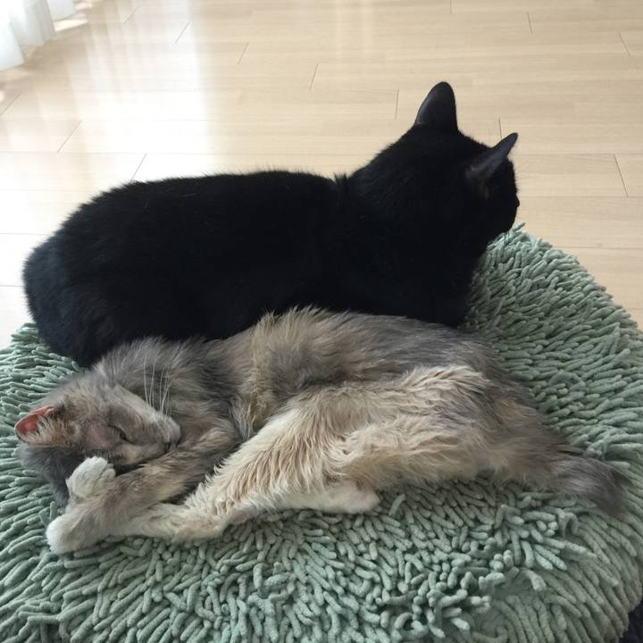 0be0b705 ca6d 4000 9905 e1827bd1970a