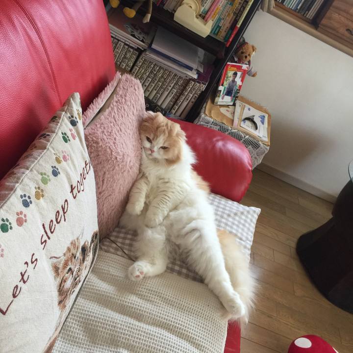 0be0bfcb 3601 4db5 b07b 28c4a71aea70