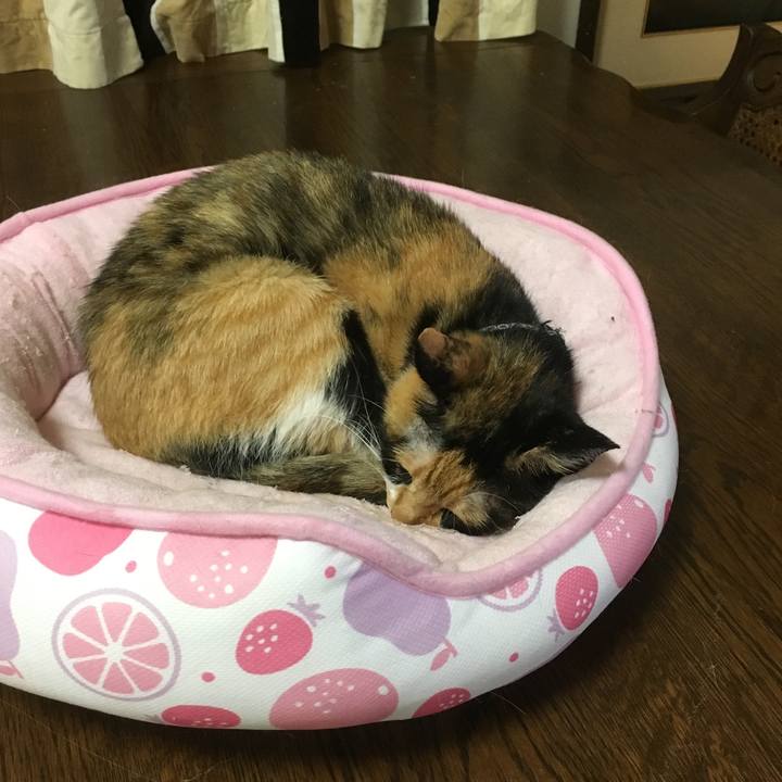 0be13c6f 018c 4289 bb2d ac581b3fe192