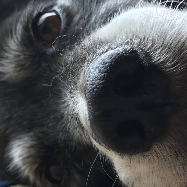 0be1cc9b 32fd 4b62 9719 cd83563501cc