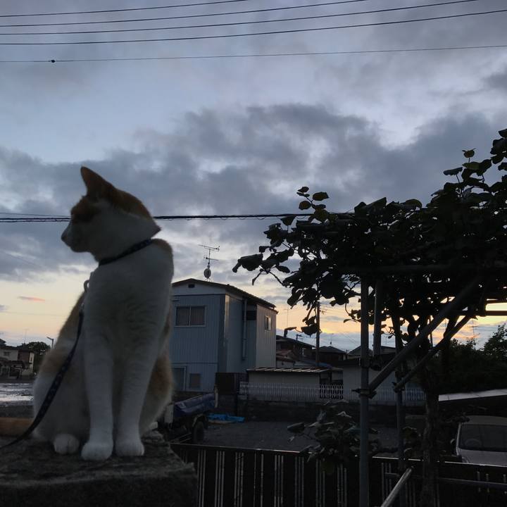 0be21003 6485 4f84 9819 3a886dad018f