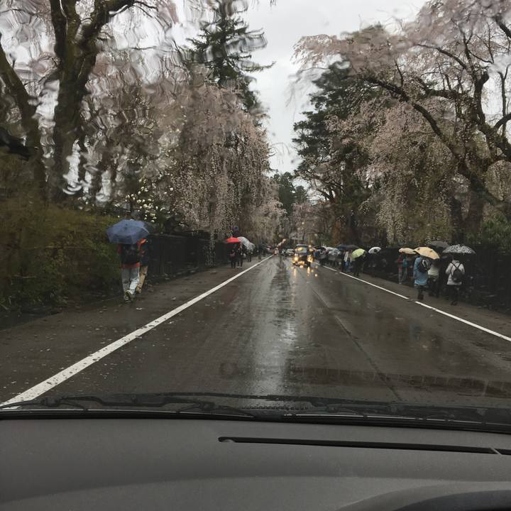 0be2da24 8380 4ed9 9f5e d9a8fd4ade05