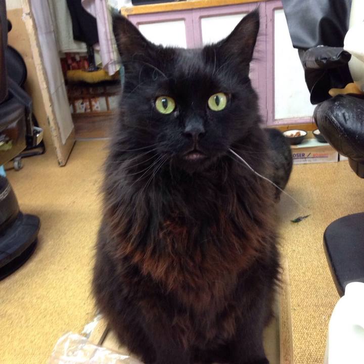 0be310c8 6253 4f80 8191 a1377bfebdd9