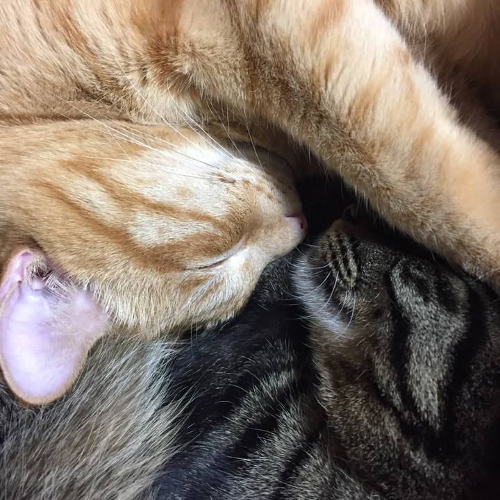 0be3240d 6c5d 416d 843c 5b6a244b728c