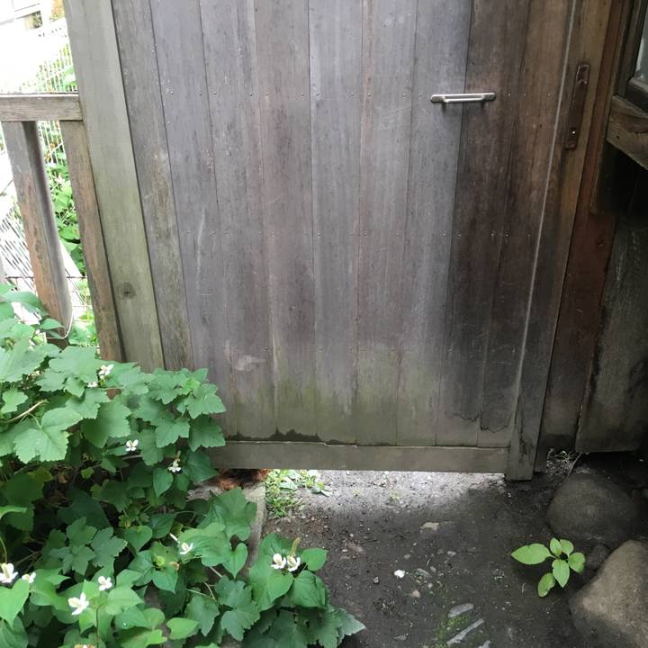 0be3b798 5023 4b56 874f f6403ccb4b74