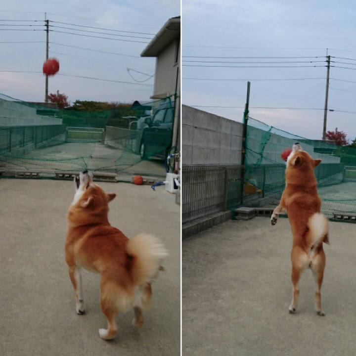 0be3d214 421a 464f 814d 6b6c4f99c7bd