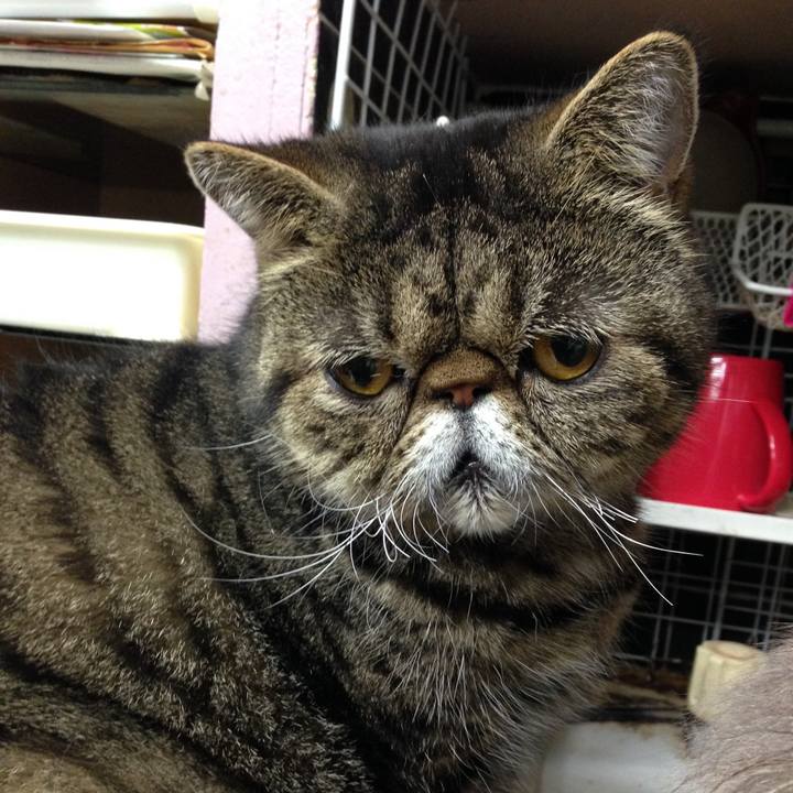 0be44354 3b41 4156 94be cf8e6c254147