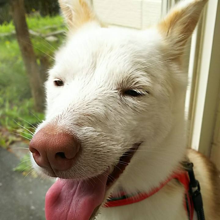 0be49255 8bca 458a b948 5fd47949f54f