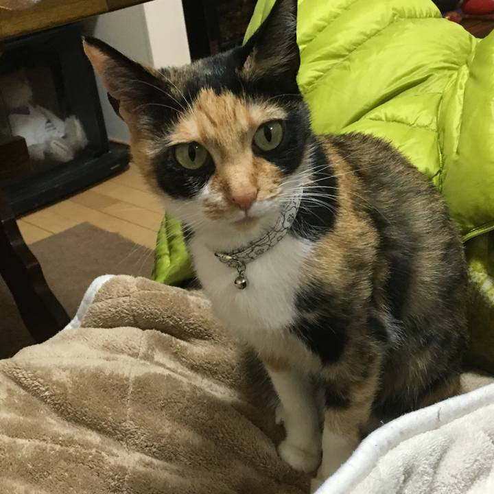 0be560ff 1ec3 42d5 8bed ebb4ef4a5bc6